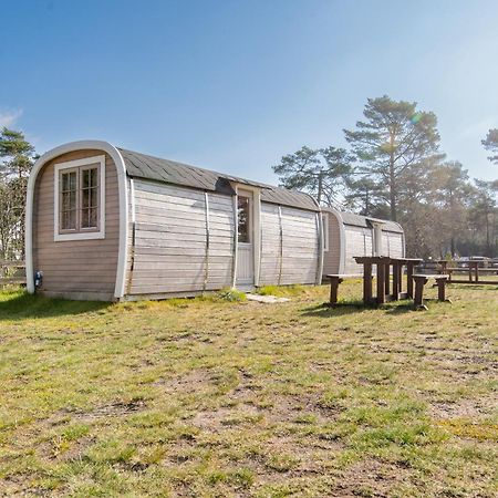Naturcamping Lueneburger Heide - Chalets & Tiny Haeuser سولتو المظهر الخارجي الصورة