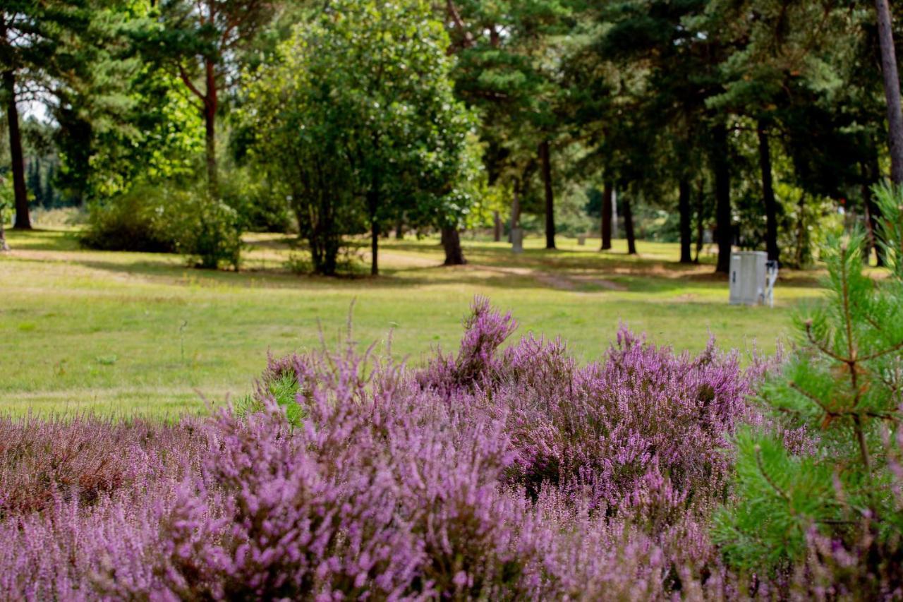 Naturcamping Lueneburger Heide - Chalets & Tiny Haeuser سولتو المظهر الخارجي الصورة