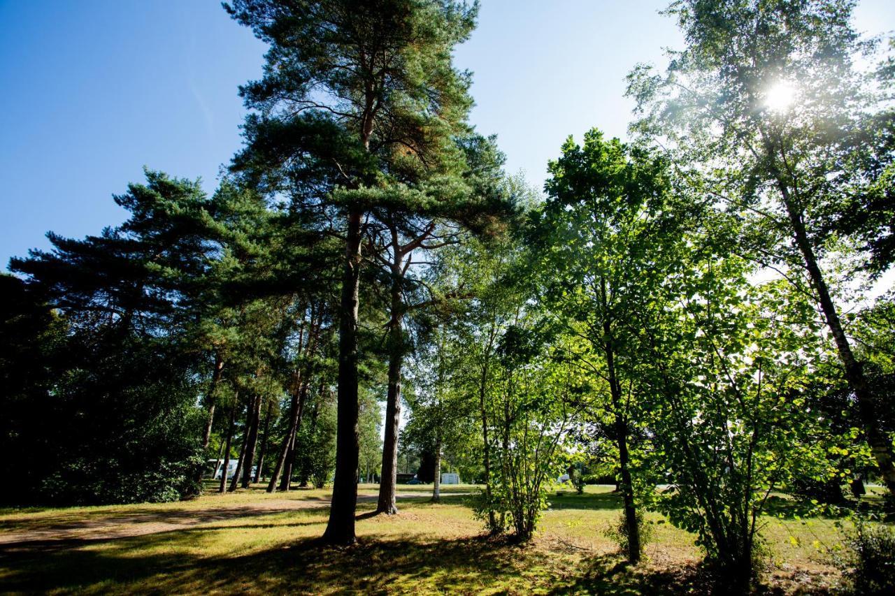 Naturcamping Lueneburger Heide - Chalets & Tiny Haeuser سولتو المظهر الخارجي الصورة