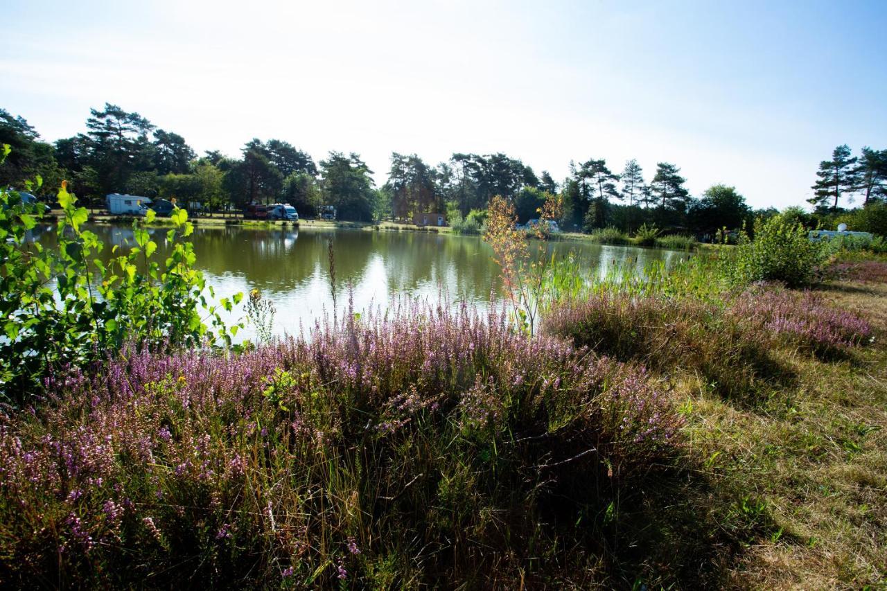 Naturcamping Lueneburger Heide - Chalets & Tiny Haeuser سولتو المظهر الخارجي الصورة