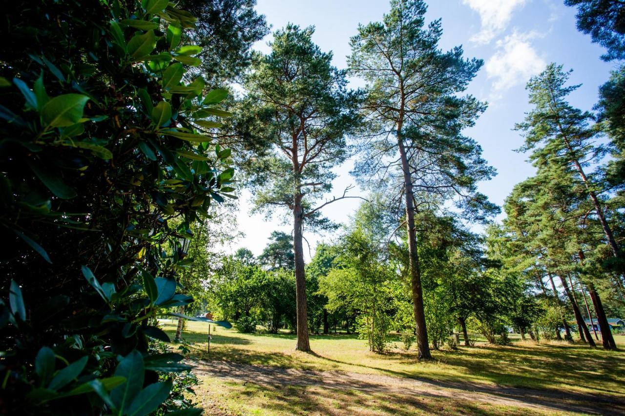 Naturcamping Lueneburger Heide - Chalets & Tiny Haeuser سولتو المظهر الخارجي الصورة